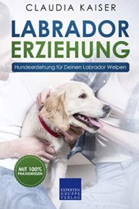 Buch „Labrador Erziehung: Hundeerziehung für Labrador Welpen“